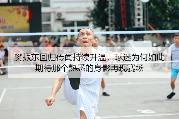 樊振东回归传闻持续升温，球迷为何如此期待那个熟悉的身影再现赛场